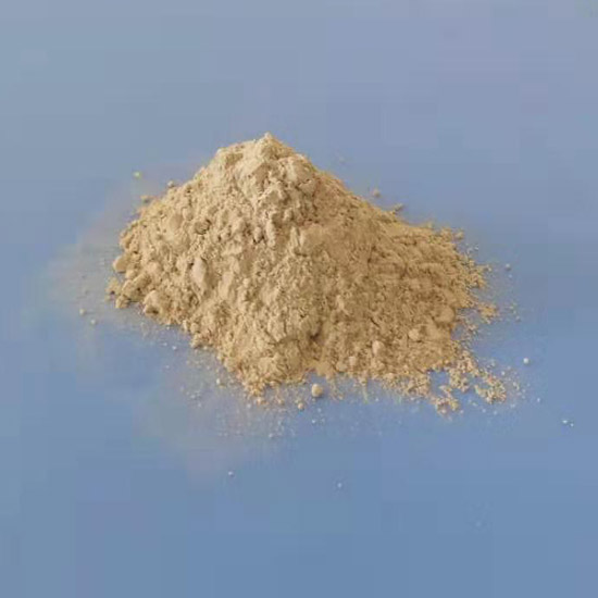 ���{����